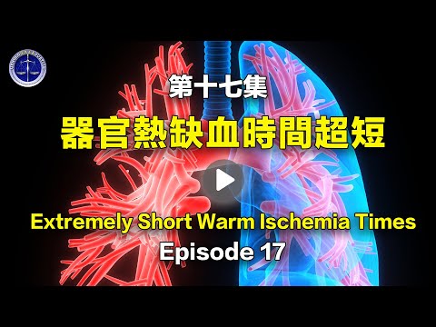 私密：[ID: nq3mabXDsoQ] Youtube Automatic