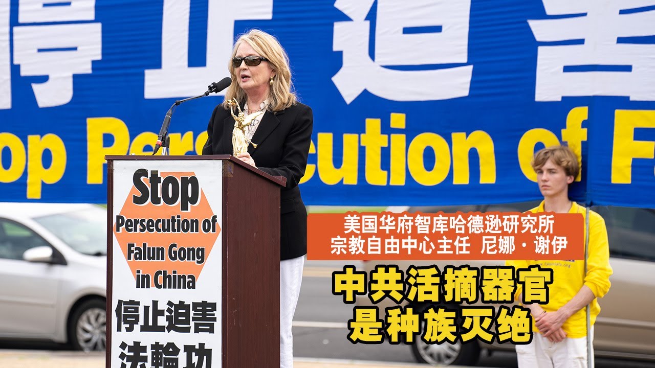 [ID: nZG_lFQ3PQU] Youtube Automatic