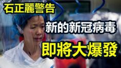 [ID: gK8F4Ak6yh4] Youtube Automatic