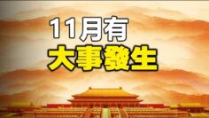 [ID: oRVjG1BTQ9Y] Youtube Automatic