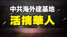 [ID: T-f5aNyM50k] Youtube Automatic