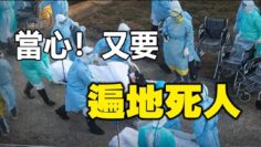 [ID: 8QQ4VOxIXLU] Youtube Automatic