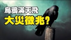 [ID: AkJ1PzCxUCs] Youtube Automatic