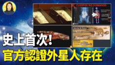 [ID: lVY1_FJ7w84] Youtube Automatic