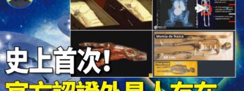 [ID: lVY1_FJ7w84] Youtube Automatic