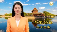 [ID: ReAuBtXsoCU] Youtube Automatic