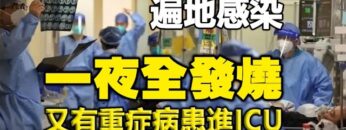 [ID: _gWJDXMK3wU] Youtube Automatic