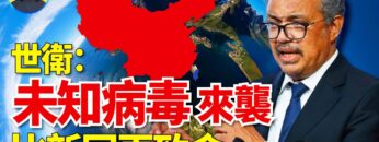 [ID: 0ClJ-HTQwOw] Youtube Automatic