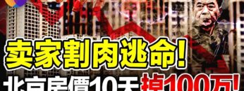 [ID: kIKqvcskTxo] Youtube Automatic