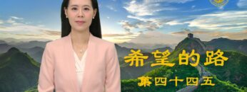 [ID: krPR9Yp_oC4] Youtube Automatic