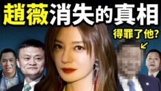 私密：[ID: 8pE3gs1iYSA] Youtube Automatic