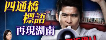 私密：[ID: 7ZPBo1Meelg] Youtube Automatic