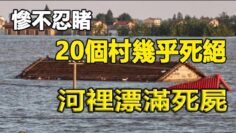 [ID: AXLB53i2l04] Youtube Automatic