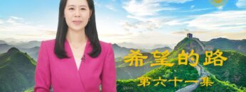 [ID: naYLibDl9hs] Youtube Automatic