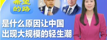 [ID: _kLC77B-xY0] Youtube Automatic