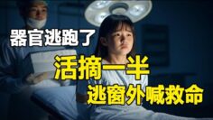 [ID: lrwe6YaFU6o] Youtube Automatic