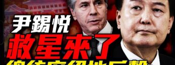 [ID: AJpVNtEBeQk] Youtube Automatic