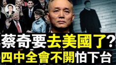 [ID: bReYJUCati8] Youtube Automatic