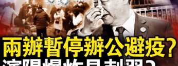 [ID: Hytwua7x9dk] Youtube Automatic