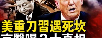 [ID: I0m_f_TfZKc] Youtube Automatic