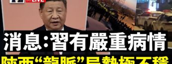 [ID: OQGv-xPOL8w] Youtube Automatic