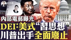 [ID: P7c_angDvfQ] Youtube Automatic