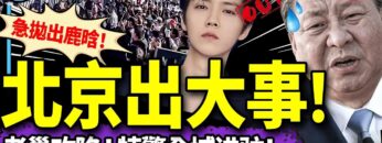 [ID: rumLIaKKSLE] Youtube Automatic