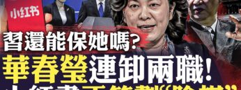 [ID: sAFJANtoNog] Youtube Automatic