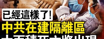 [ID: scjhof1MSKY] Youtube Automatic