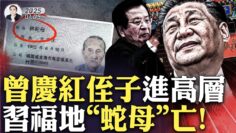 [ID: WrRYBJUikPs] Youtube Automatic