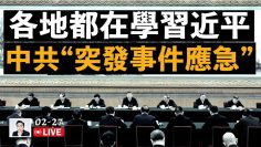 [ID: 1Ow8lGwC1tE] Youtube Automatic