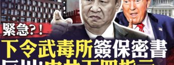 私密：[ID: 80I0SH-OJwY] Youtube Automatic