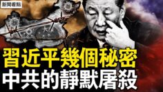 [ID: CmO0HJB1VUs] Youtube Automatic