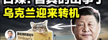 私密：[ID: ko-tlkN-X4s] Youtube Automatic