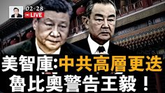 [ID: -KsqiA-WEjI] Youtube Automatic