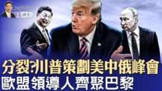 [ID: SA-DFk7_qVY] Youtube Automatic