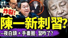 私密：[ID: bkPy4U2GROU] Youtube Automatic