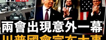 私密：[ID: GrG8QHnJ_2c] Youtube Automatic