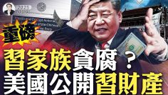 私密：[ID: lOp46Mt_R4c] Youtube Automatic