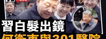 [ID: n_z41OoA47o] Youtube Automatic