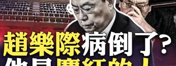 私密：[ID: Pg5V2hy-pwQ] Youtube Automatic