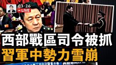 [ID: pzjt9s8X9dM] Youtube Automatic