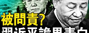 私密：[ID: uEHPtHYDF-c] Youtube Automatic