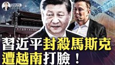 私密：[ID: wj9TBXnL46c] Youtube Automatic