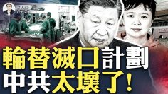 [ID: 5W6yhy2otq4] Youtube Automatic