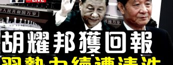 [ID: 7MJmKF3T5Nk] Youtube Automatic