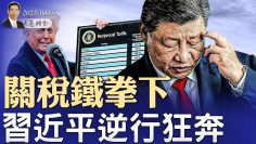 私密：[ID: FAuz4Iw56aU] Youtube Automatic