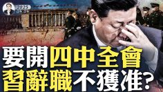 [ID: m10JSiSB1U4] Youtube Automatic