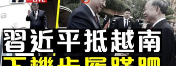 [ID: NK2jZcj75jc] Youtube Automatic