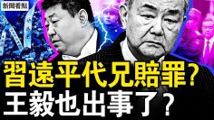 [ID: TldhDXadE9w] Youtube Automatic